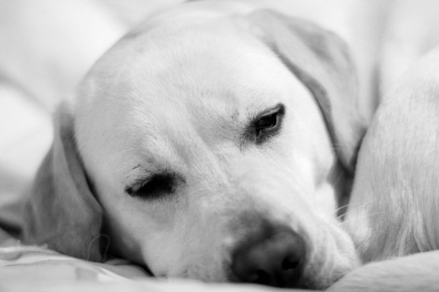 378261362_7063fa2917_o