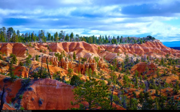 5952249358_72202c3d82_b